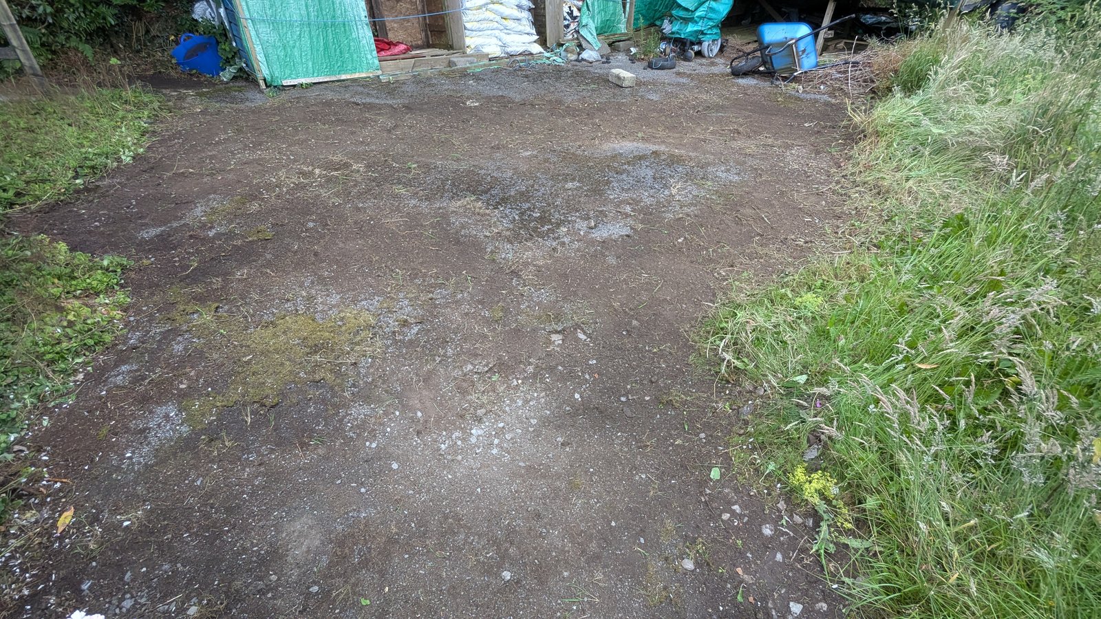 After: Driveway bed overgrown with lady's mantle and dock leaves, cleared back to bare ground
