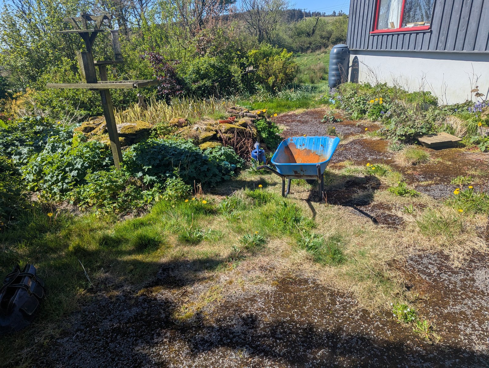 Before: Neglected driveway and pond area, cleared and tidied
