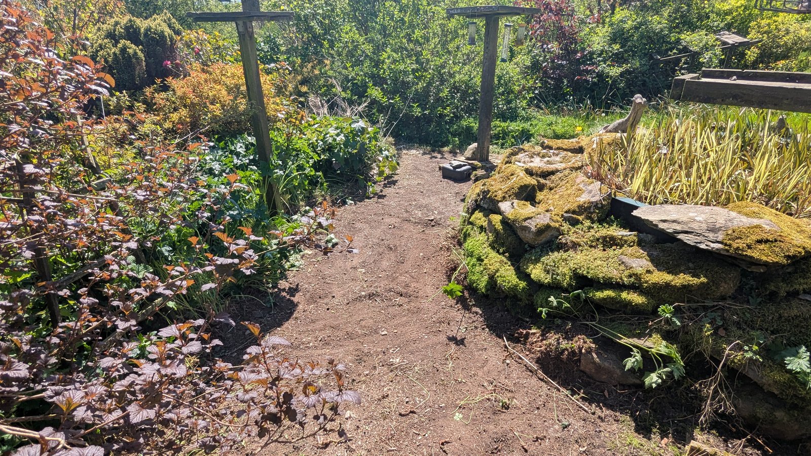 After: A second neglected driveway and pond, cleared and tidied