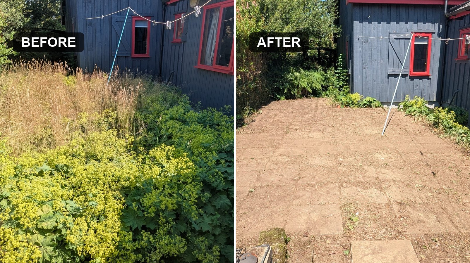 Before and after of a back patio that had completely disappeared under lady's mantle and other weeds.