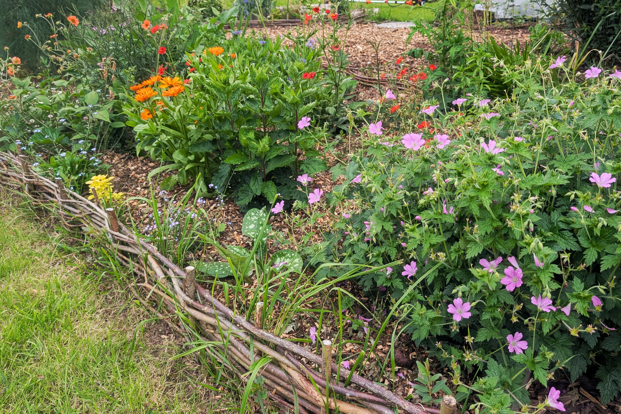 Flower Patch Gardening - Pembrokeshire Gardeners
