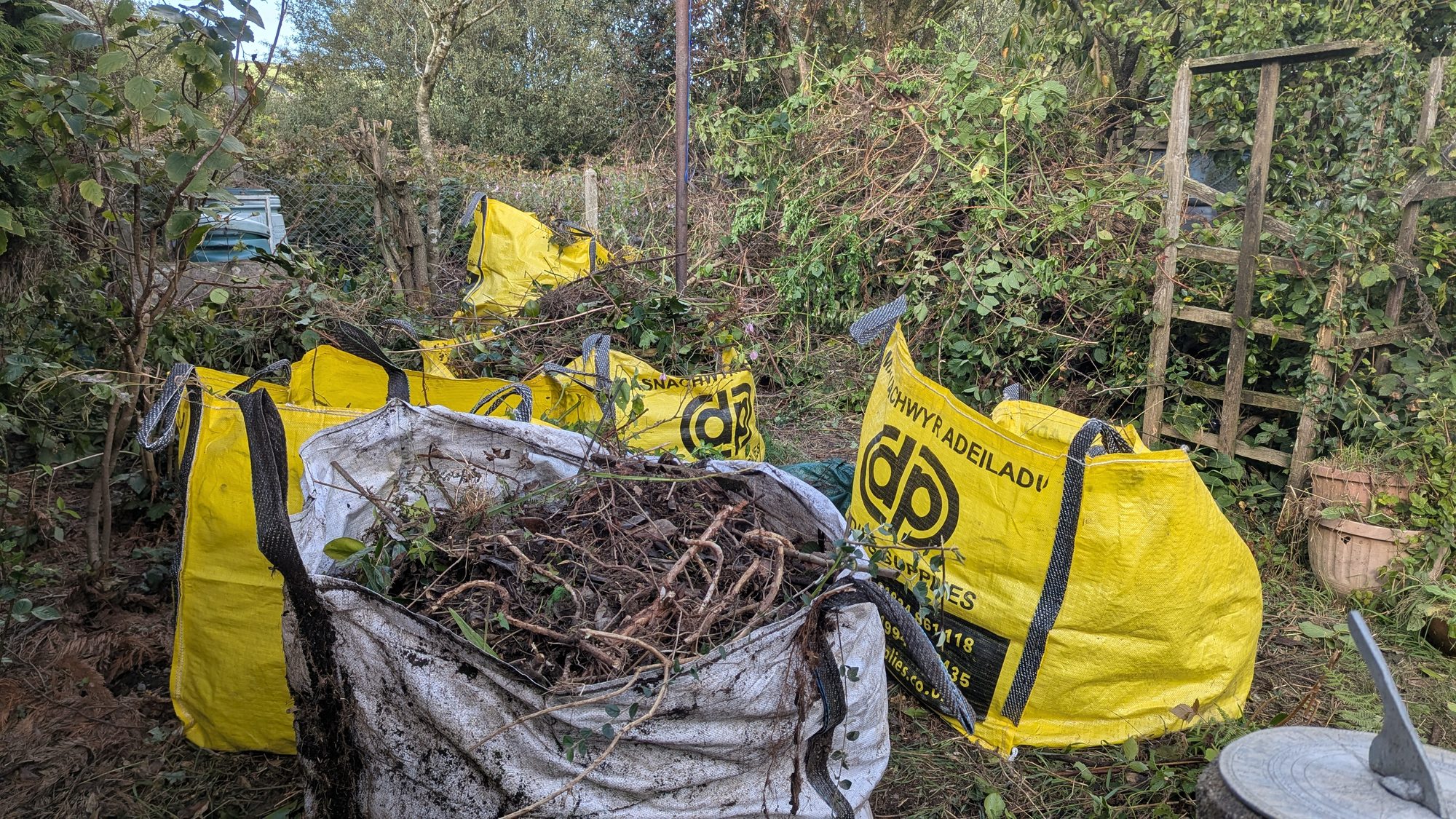 Builder's bags filled with brambles, roots and green waste from the clearance, Haverfordwest