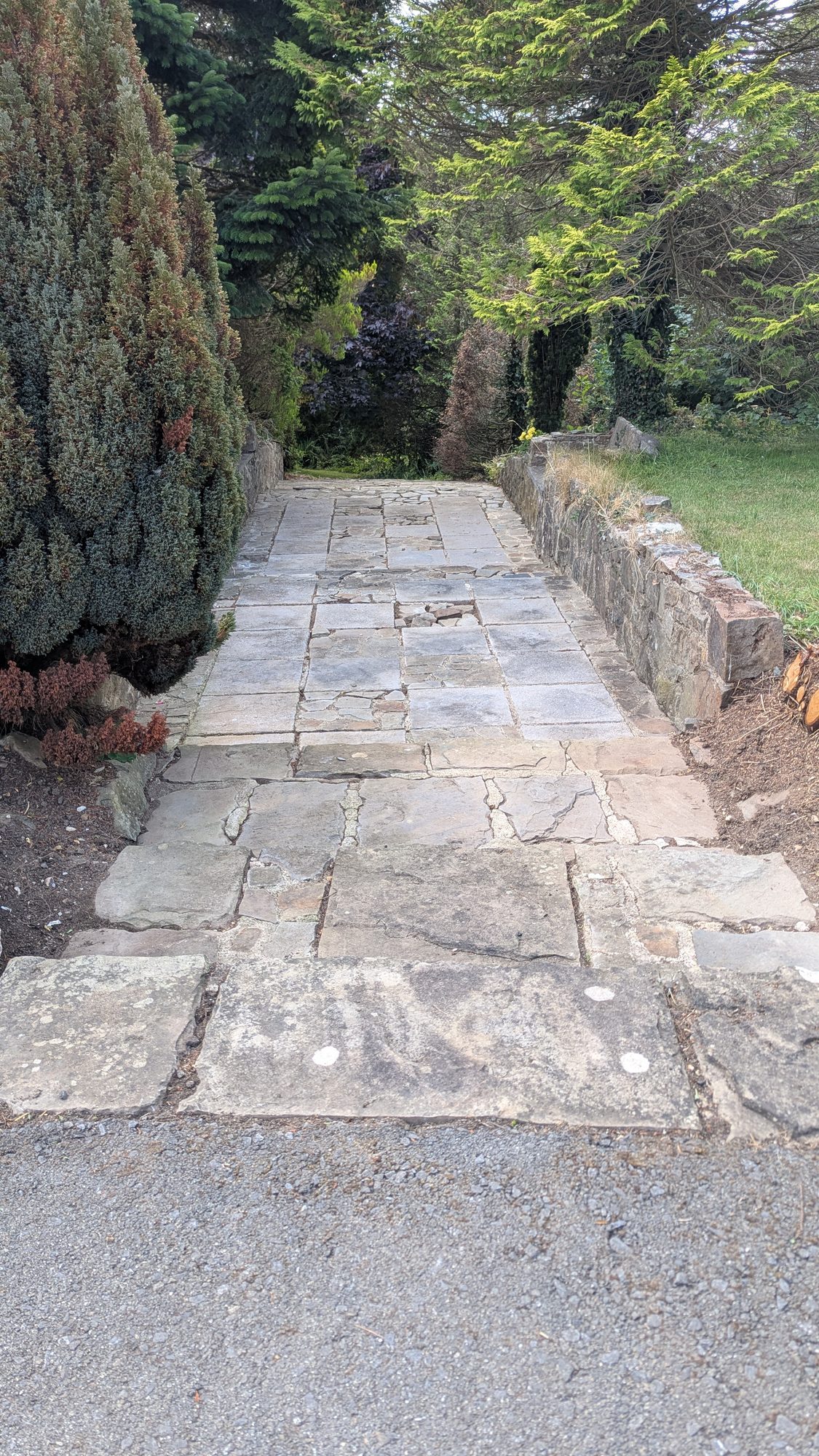 Cleared entrance garden path in Llanddewi Velfrey near Narberth, stone slabs swept clean with hedges neatly either side