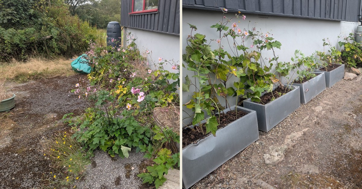 A safer, easier-to-navigate garden for an elderly customer, Crymych