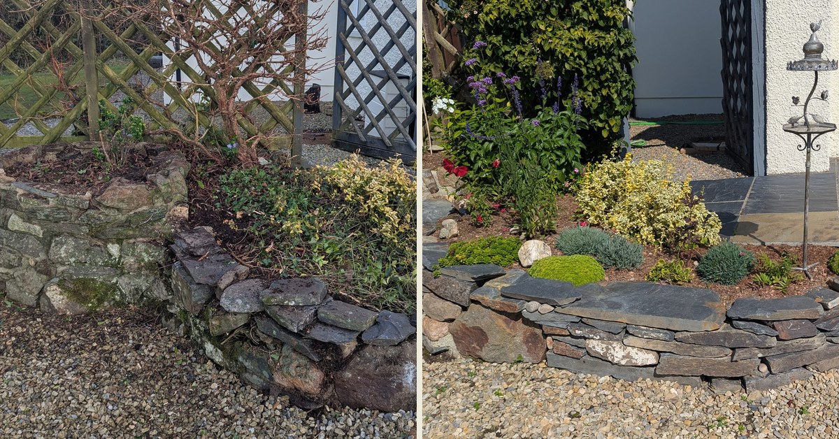 An overgrown hedge cleared and a border rebuilt in slate, near Whitland