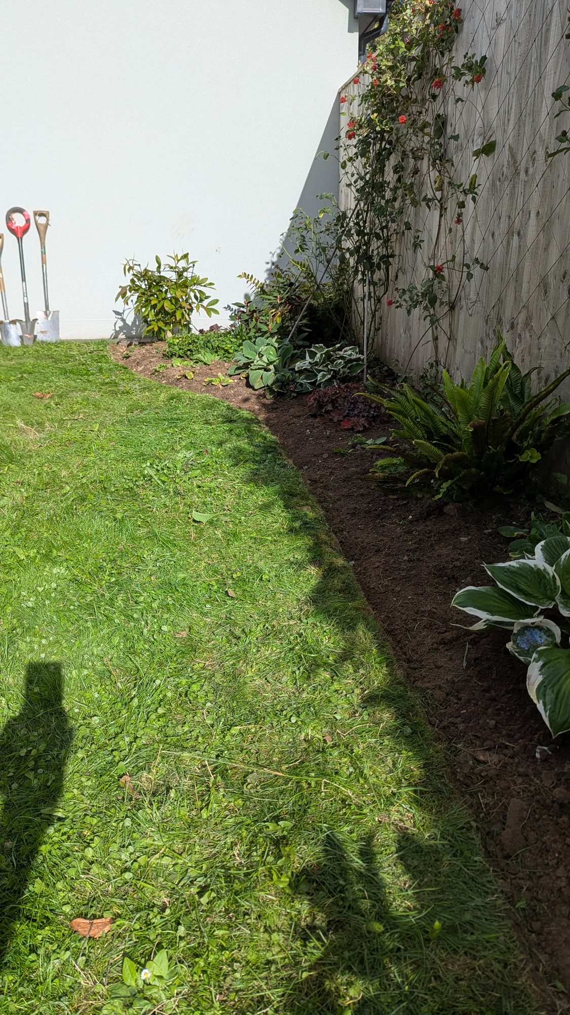 The same narrow border with the lawn pulled back to a clean curved edge, Haverfordwest