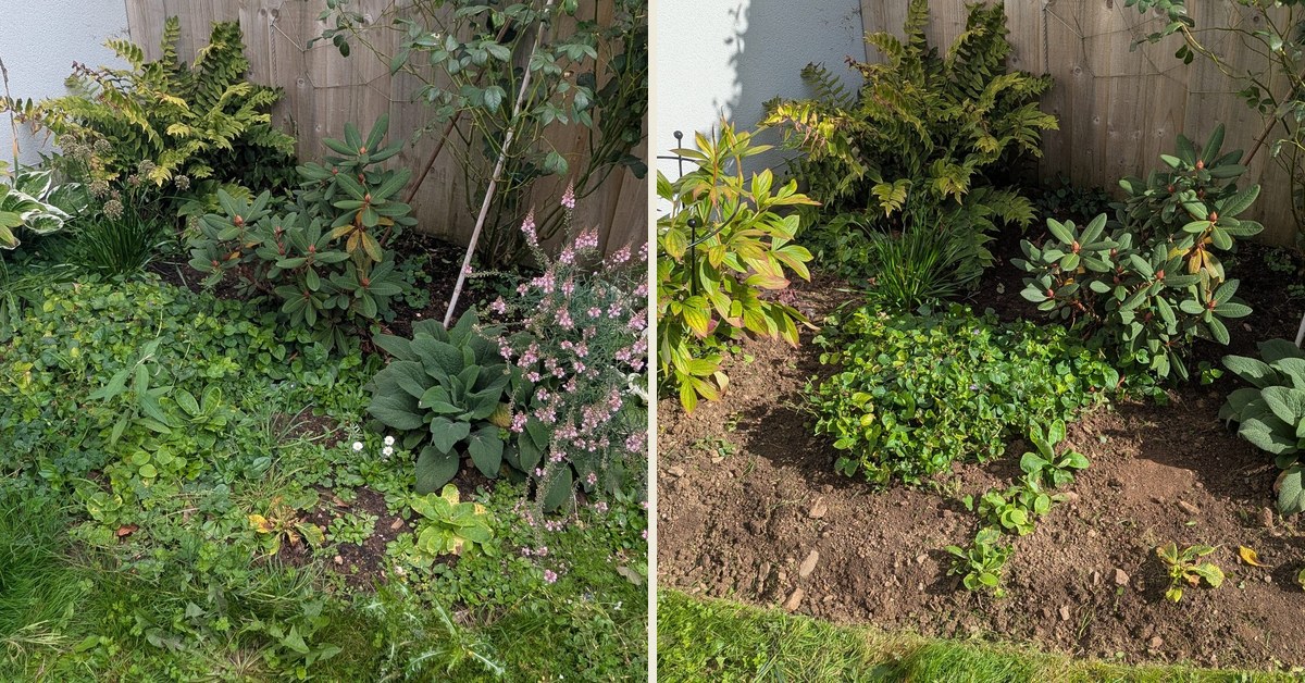 Border space won back from the lawn, Haverfordwest