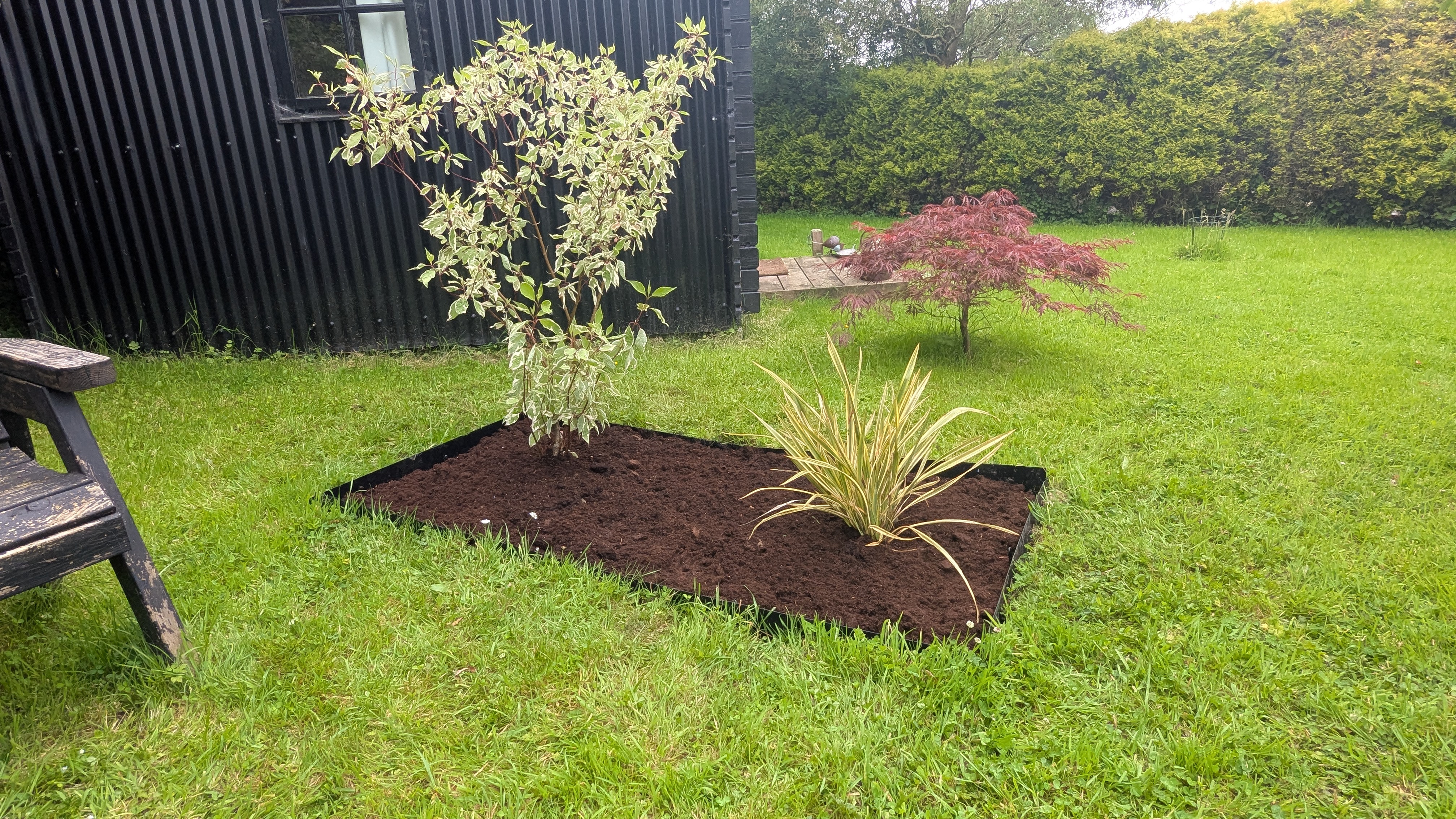 Privacy planting for a garden seating area, near Whitland
