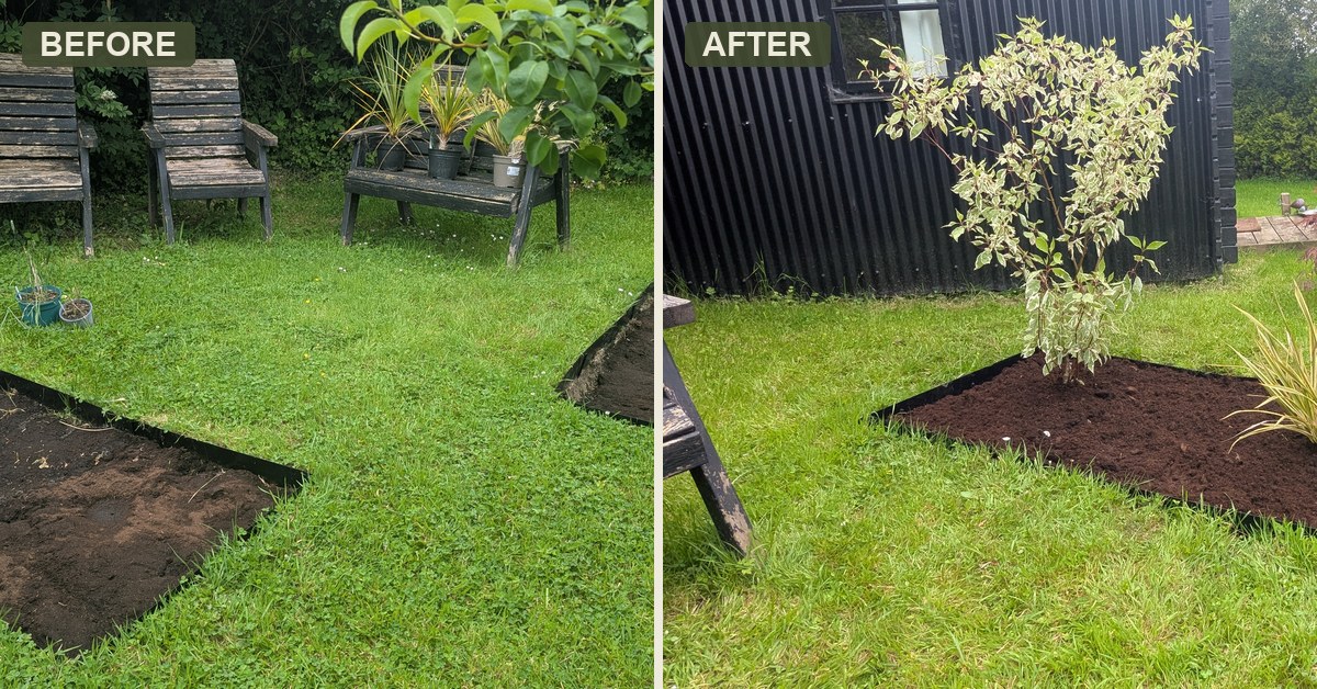 Privacy planting for a garden seating area, near Whitland
