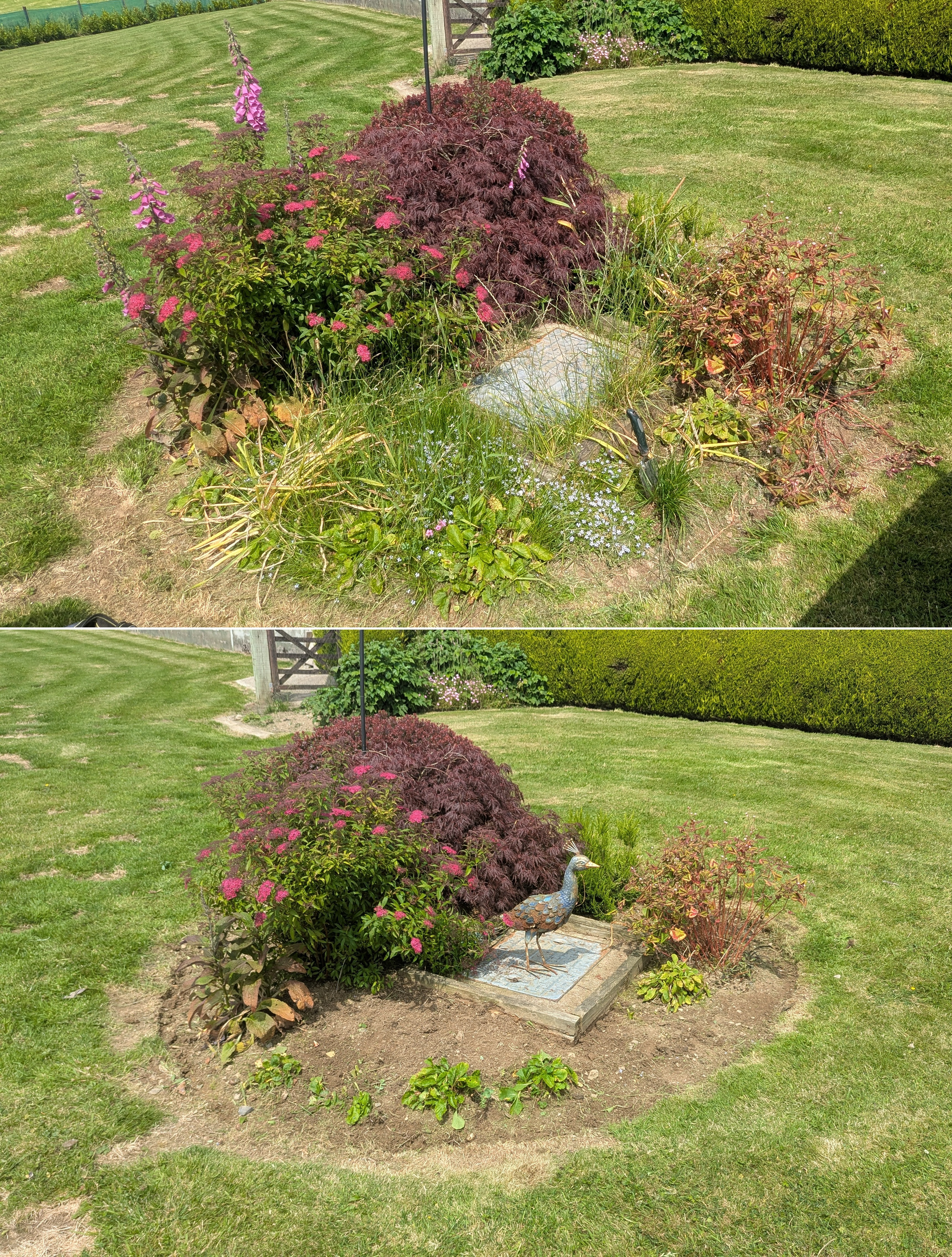 A garden tidy before the estate agent photos, Whitland