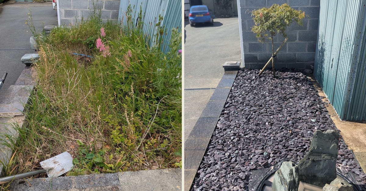 An overgrown, neglected corner transformed into a water feature, near Whitland