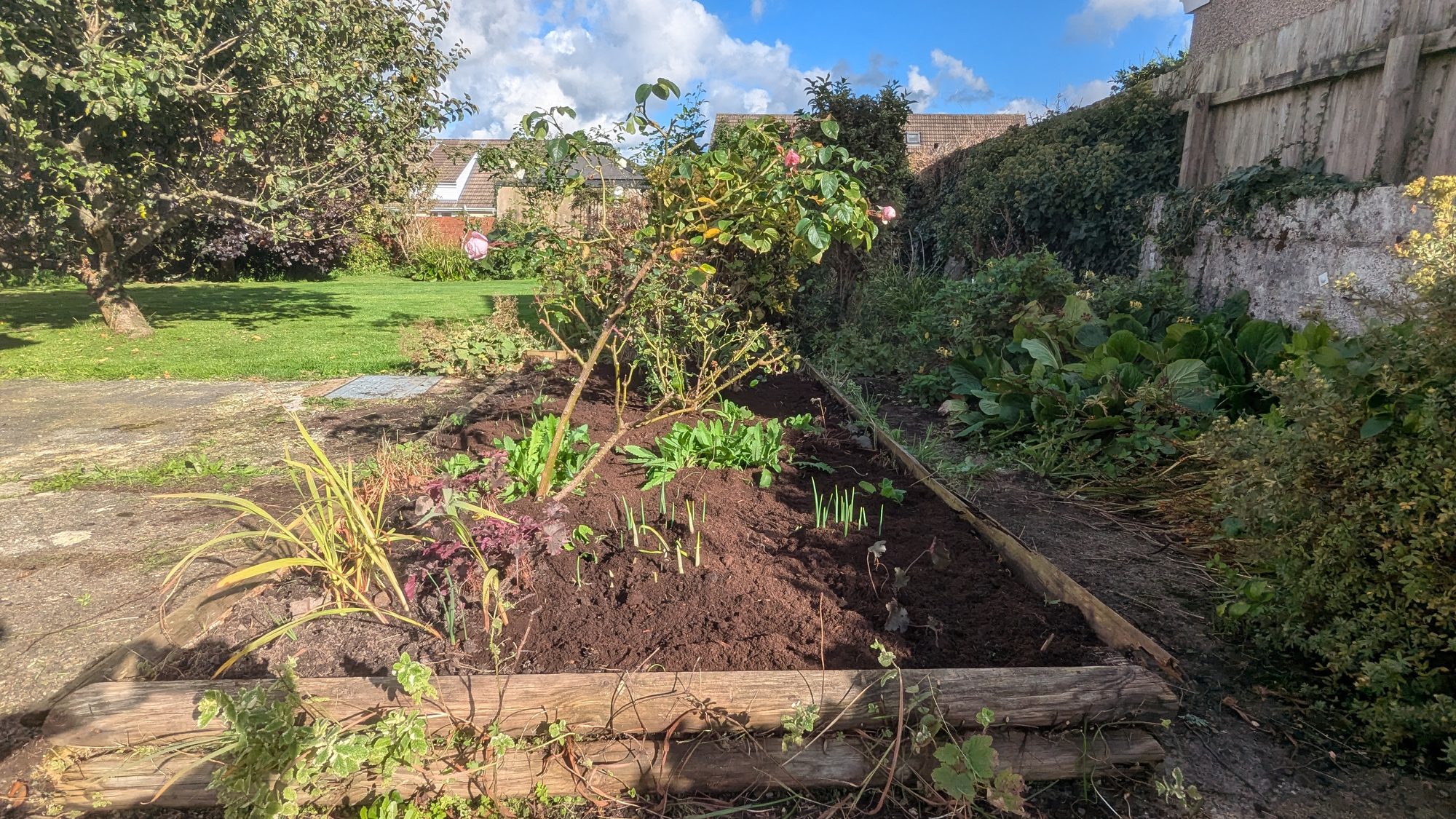 Front garden bed seen along its length after weeding, Haverfordwest